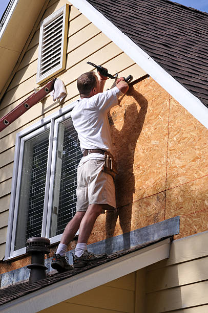 Best Custom Trim and Detailing for Siding  in Sneads Ferry, NC